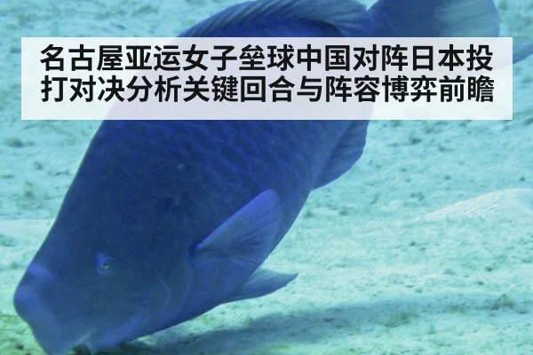 名古屋亚运女子垒球中国对阵日本投打对决分析关键回合与阵容博弈前瞻